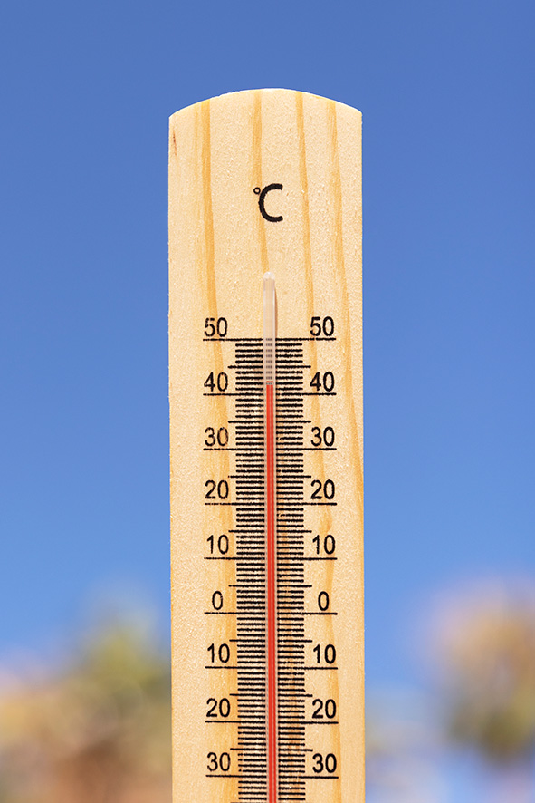 temperature opt.jpg
