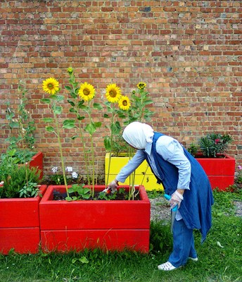 molenbeek potagers1080