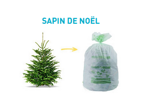 sapin noel bxlproprete