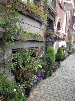 Balcon fleurie rue Courtois